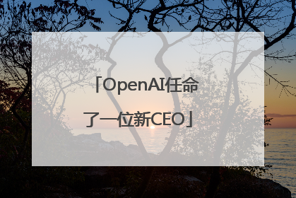 OpenAI任命了一位新CEO