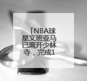 NBA球星文班亚马已离开少林寺，完成10天修行：4点半起床，训练强度高于武僧