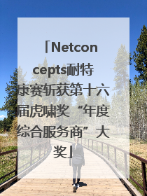 Netconcepts耐特康赛斩获第十六届虎啸奖“年度综合服务商”大奖